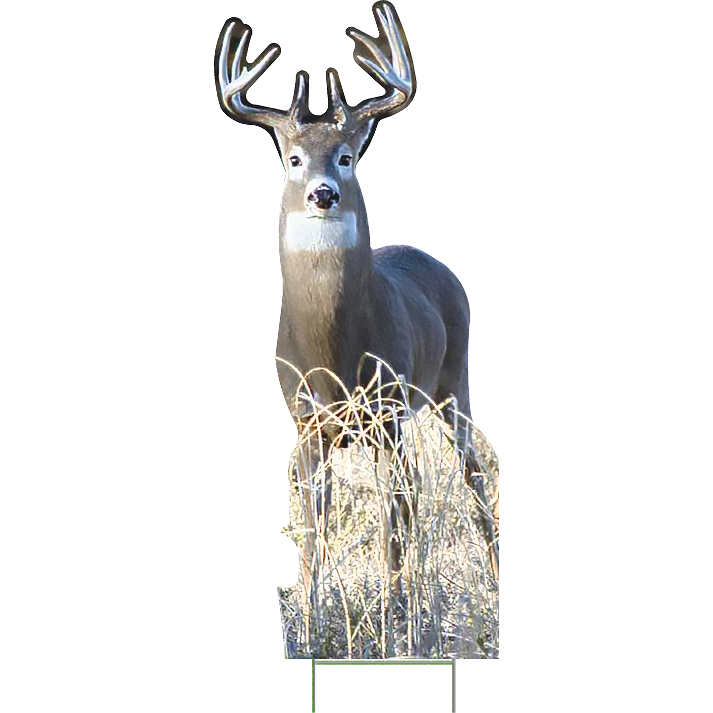 Nature White Tail Buck Deer Hunting Grass Outdoor Yard Decoration Cutout