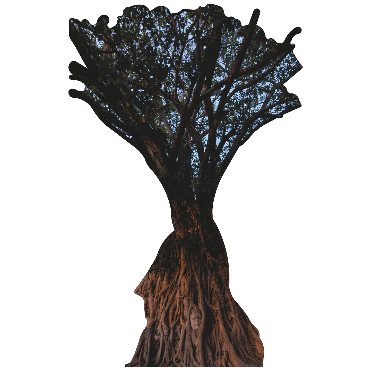 Bodhi Tree Buddha Head Thailand Cardboard Cutout