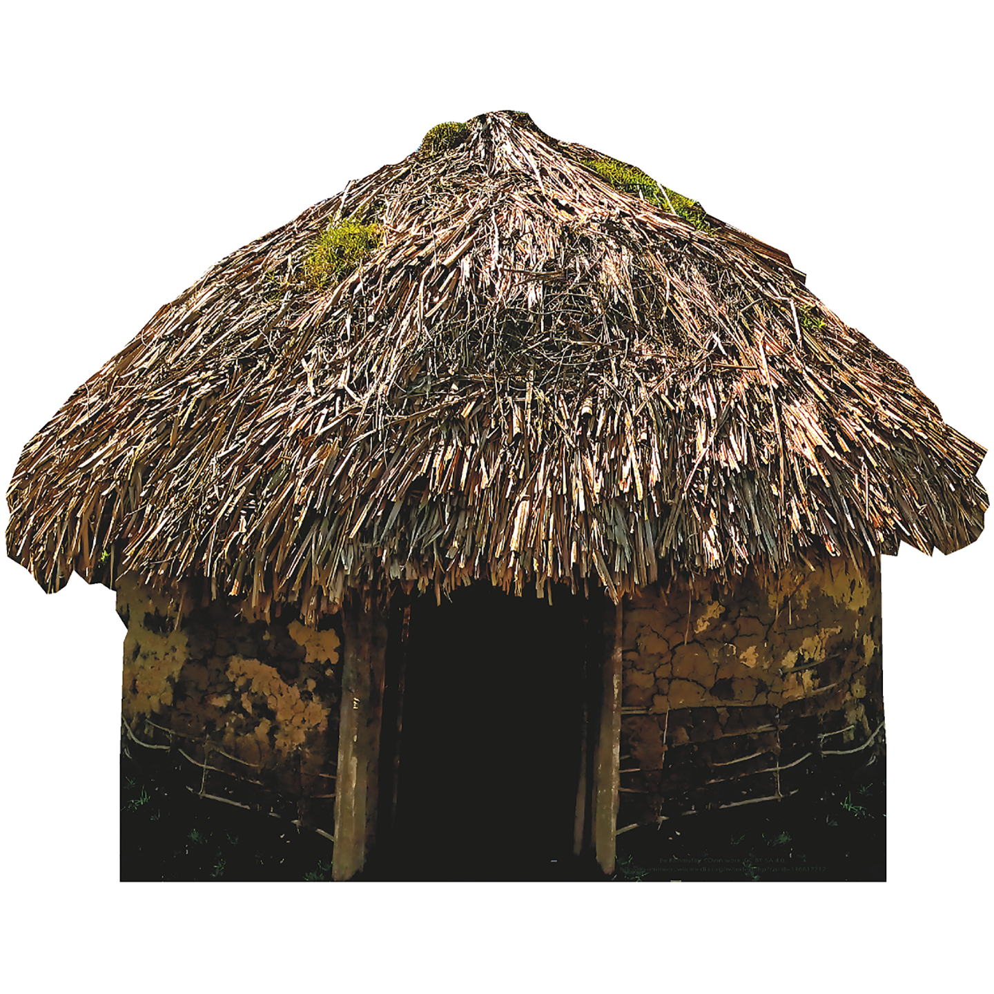 Ancient Thatched Mud Hut Cardboard Cutout