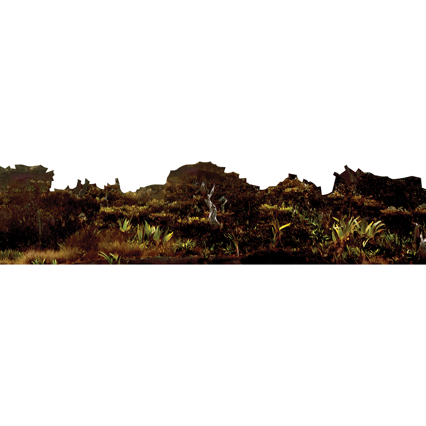 Venezuela South America Jungle Landscape Cardboard Cutout