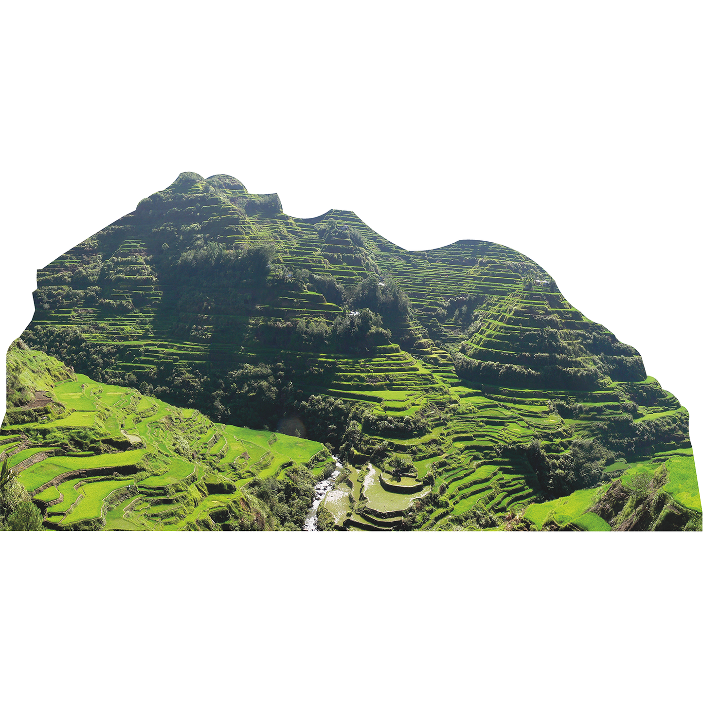 Banaue Rice Terraces Philippines Cardboard Cutout