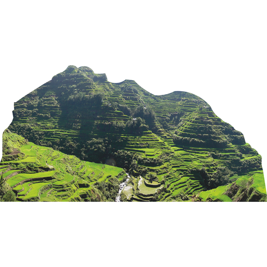 Banaue Rice Terraces Philippines Cardboard Cutout