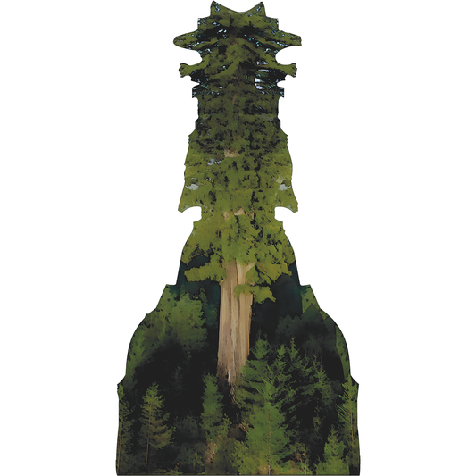 Hyperion Sequoia Worlds Tallest Tree Redwood California Cardboard Cutout