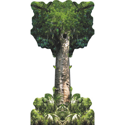 The Senator Pond Cypress Florida Tree 2011 Cardboard Cutout
