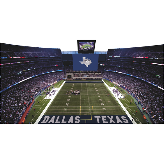 Dallas Texas Football Stadium Lone Star State Field Cardboard Cutout
