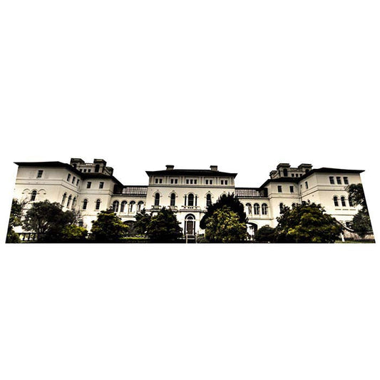 Ararat Lunatic Asylum Cardboard Cutout