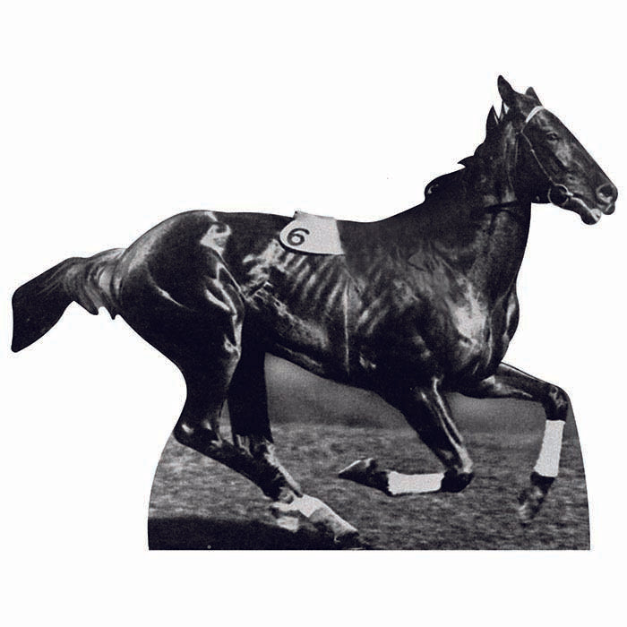 Phar Lap Cardboard Cutout