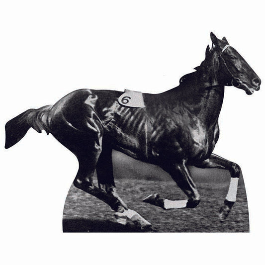 Phar Lap Cardboard Cutout