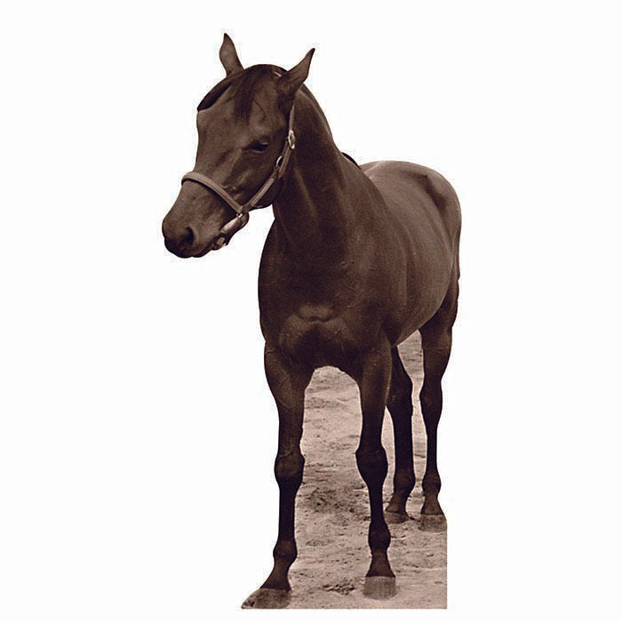 Seabiscuit Cardboard Cutout