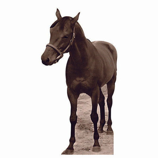 Seabiscuit Cardboard Cutout