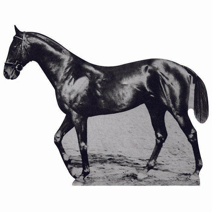 War Admiral Cardboard Cutout