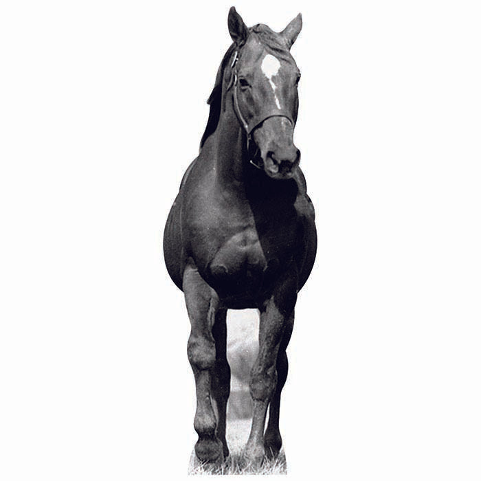 Man O War Cardboard Cutout