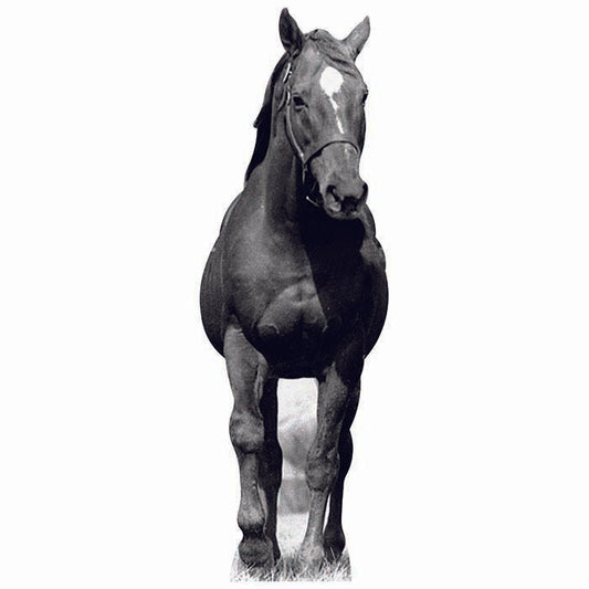 Man O War Cardboard Cutout