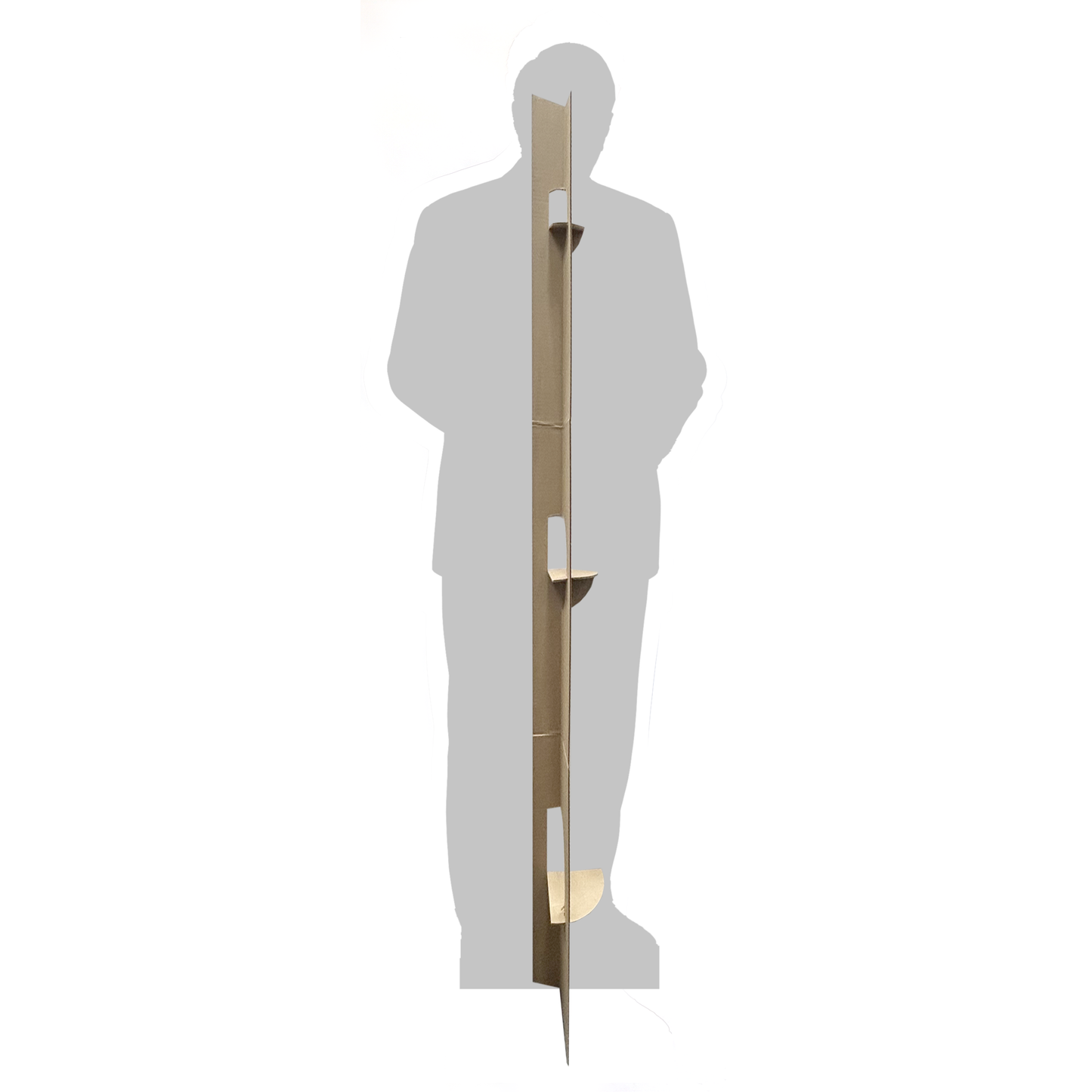 Barney Frank Retired Politician Cardboard Cutout
