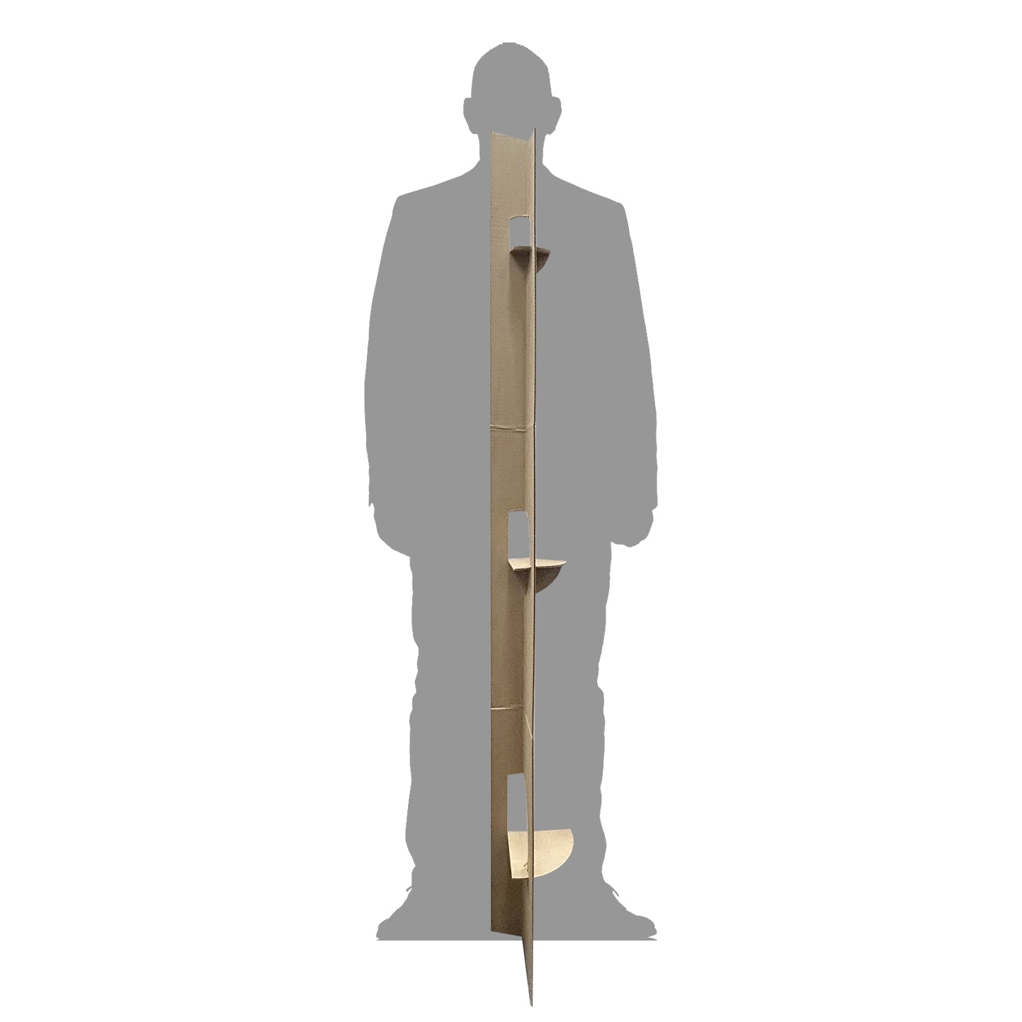 Steve Hilton California Governor Candidate Cardboard Cutout