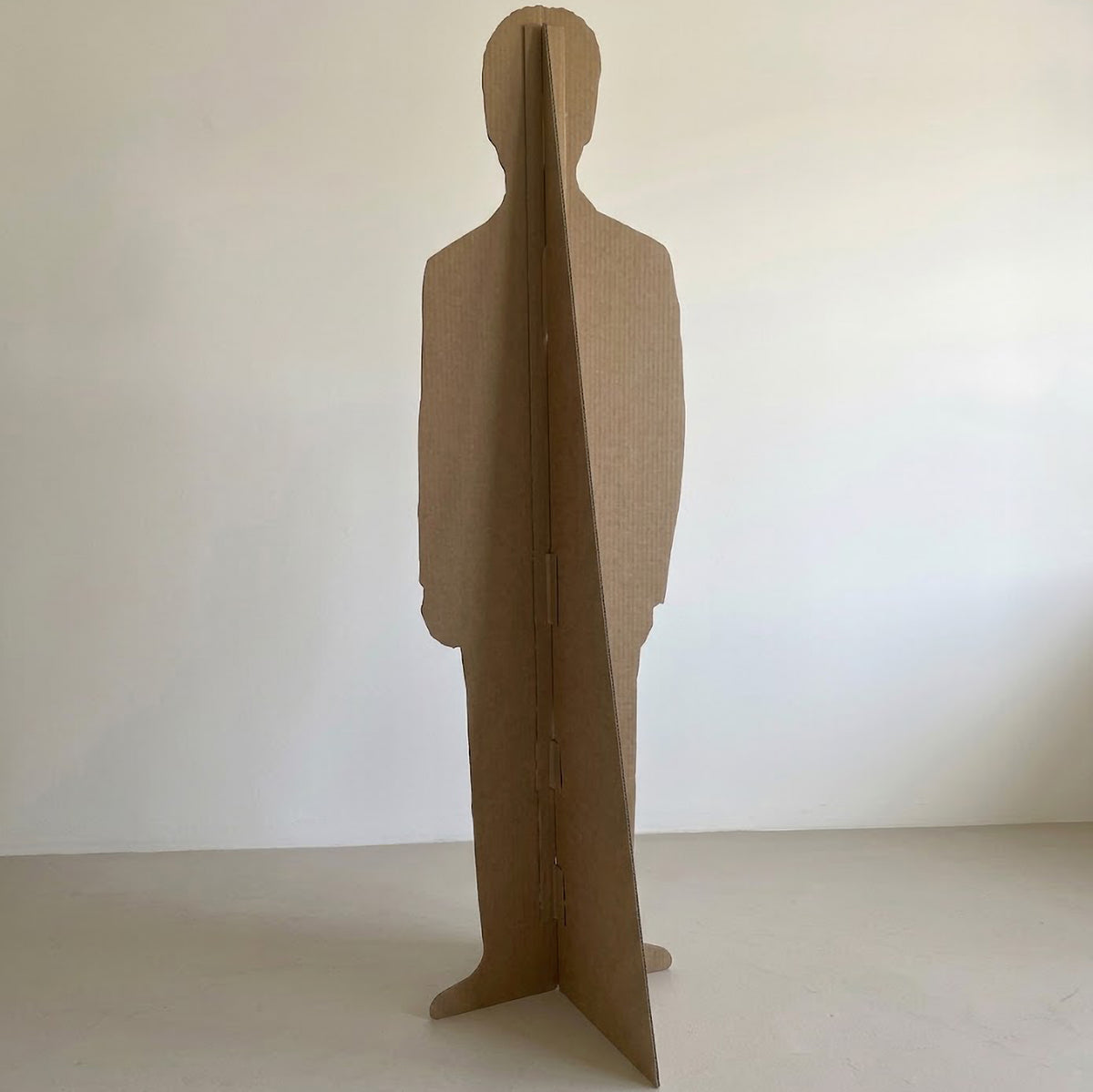 Gavin Newsom California Governor Cardboard Cutout