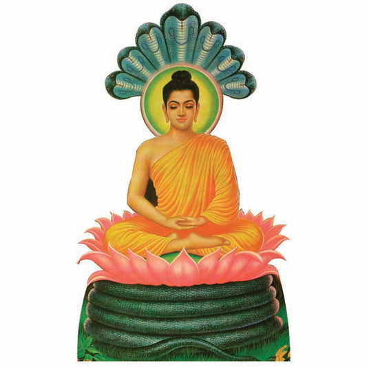 Buddha Cardboard Cutout