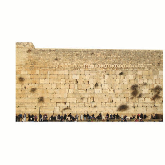 Wailing Wall Cardboard Cutout