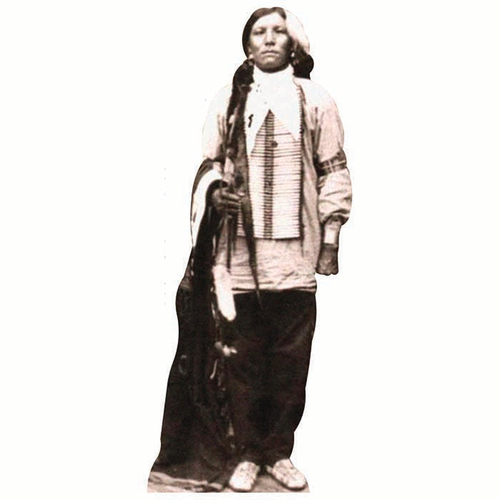 Crazy Horse Cardboard Cutout