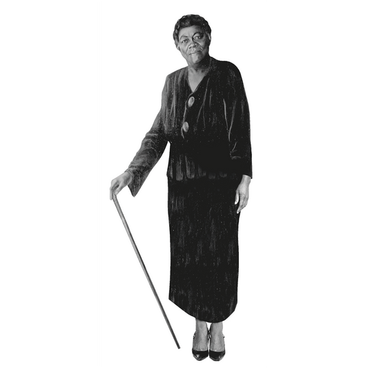 Mary McLeod Bethune Civil Rights Activist