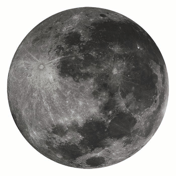 Moon Cardboard Cutout