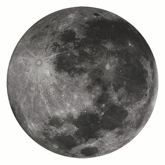 Moon Cardboard Cutout