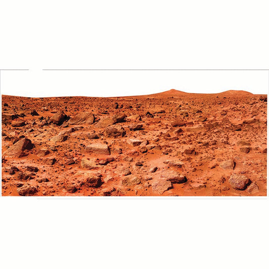 Mars Twin Peaks Curiosity Cardboard Cutout