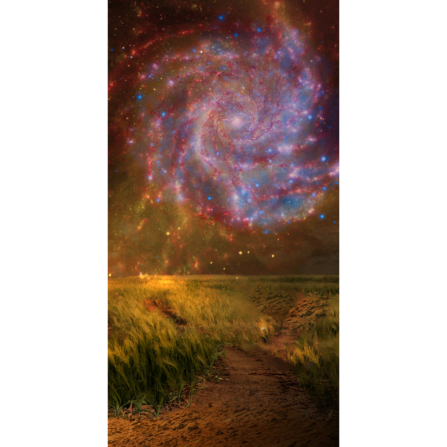Distant Exo Planet World Galaxy Space Alien NASA Backdrop Cardboard Cutout