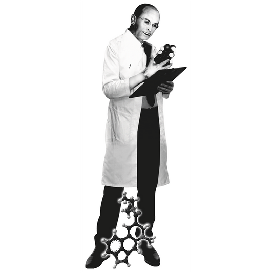 Albert Hofmann Cardboard Cutout