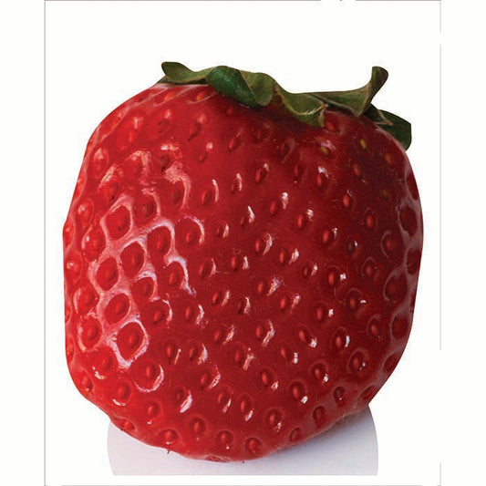 Round Strawberry Cardboard Cutout