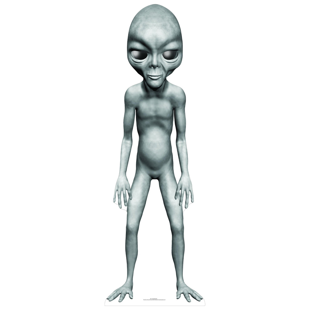 Grey Alien Star Mini Cardboard Cutout Free Shipping – Life Size Custom ...
