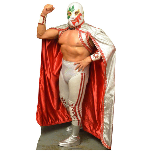 Solar Cardboard Cutout