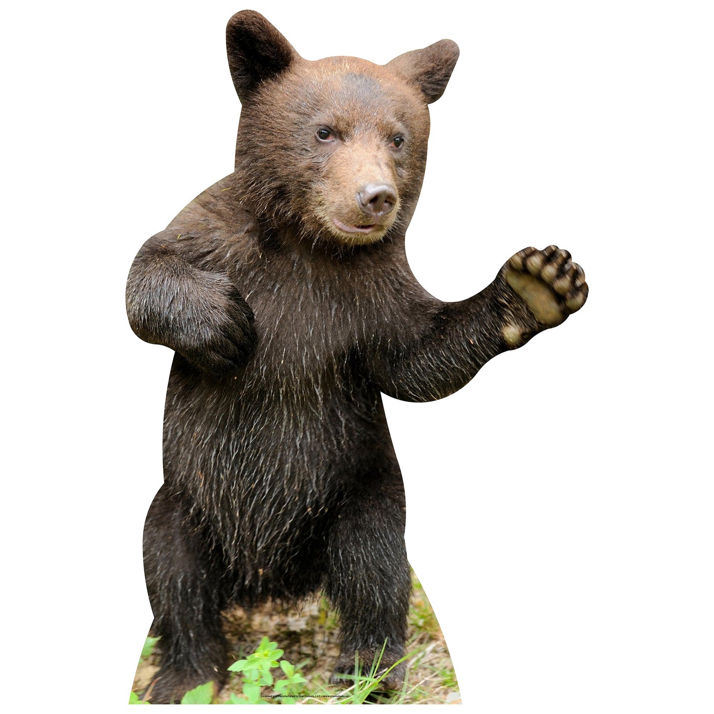 Bear Cub Cardboard Cutout