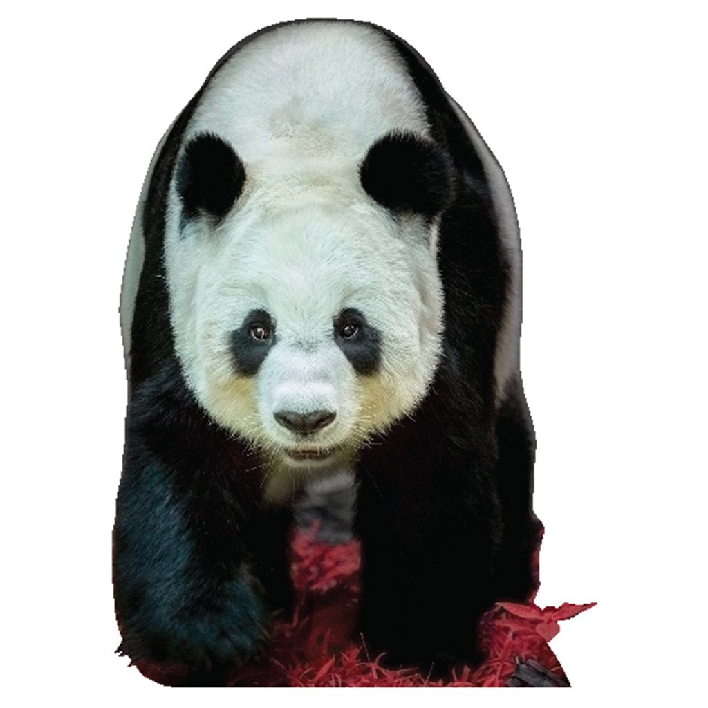Panda Bear Cardboard Cutout