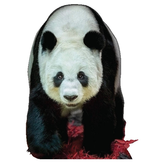 Panda Bear Cardboard Cutout