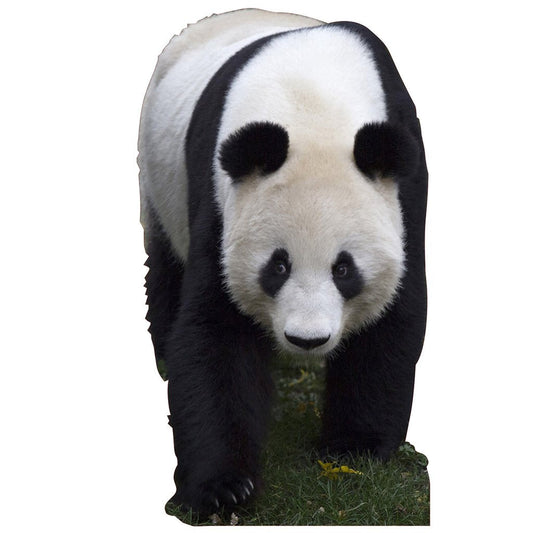 Panda Cardboard Cutout
