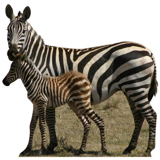 Zebras Cardboard Cutout
