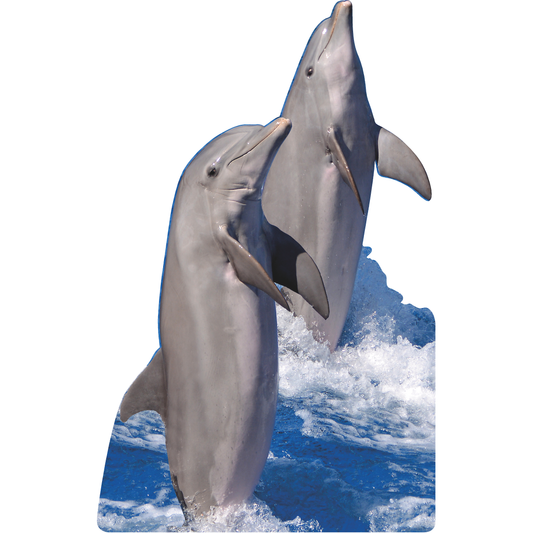 Dancing Dolphins Cardboard Cutout