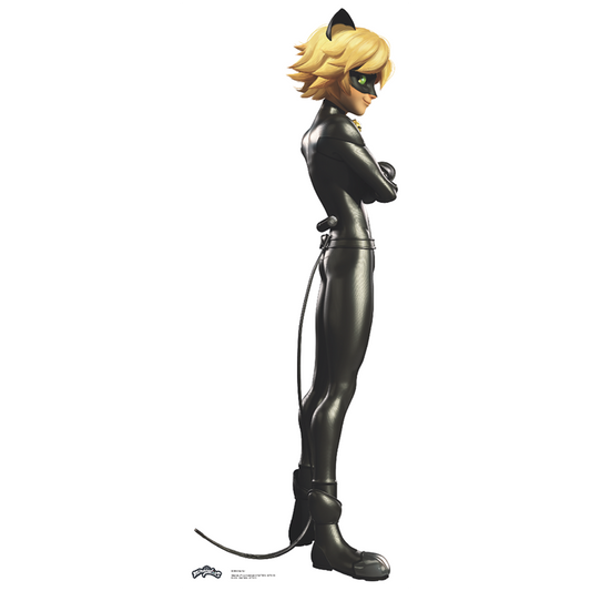 Cat Noir Miraculous Disney Cardboard Cutout