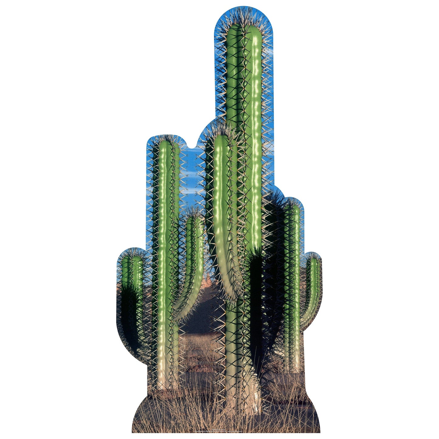 Cactus Group Cardboard Cutout