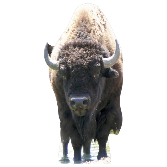 Buffalo Cardboard Cutout