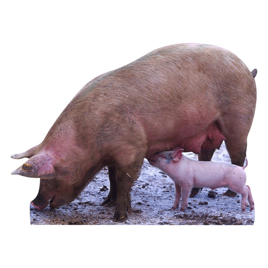 Pig With Piglet Cardboard Cutout