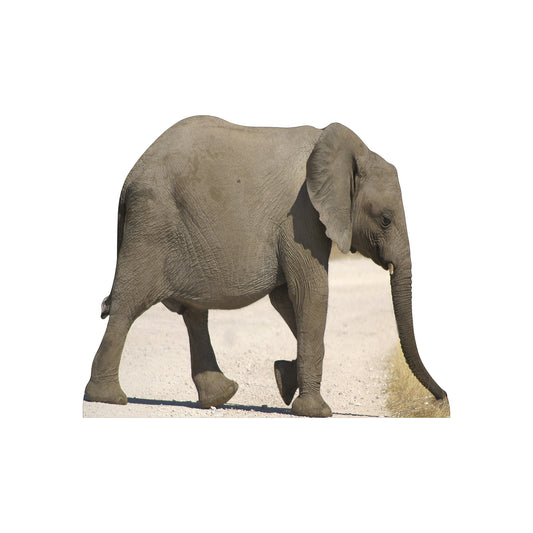 Baby Elephant Cardboard Cutout