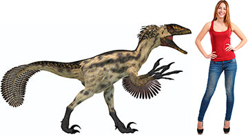 Deinonychus Dinosaur Cardboard Cutout