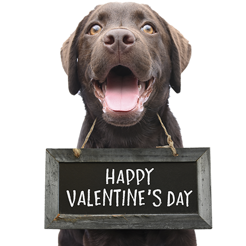 Valentine dog Cardboard Cutout