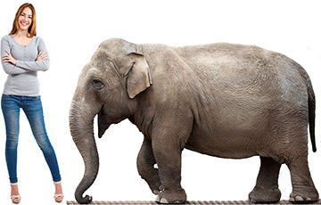 Elephant On Rope Cardboard Cutout