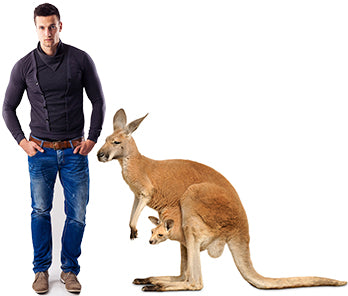 Kangaroo and Joey Cardboard Cutout