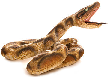 Snake Cardboard Cutout