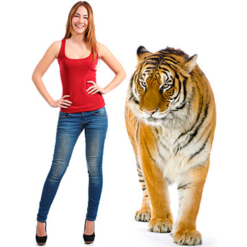 Tiger Standing Cardboard Cutout