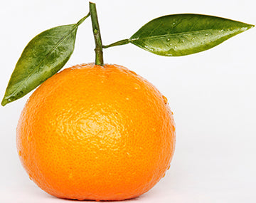 Orange Cardboard Cutout